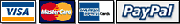 BUY Parallels 20 with Visa, Paypal